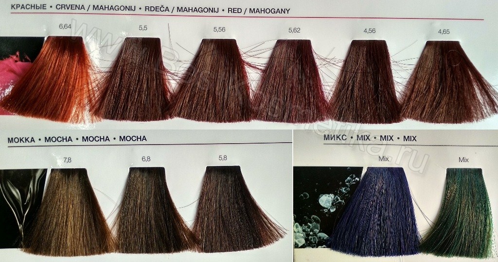 Техника использования краски для волос INOA